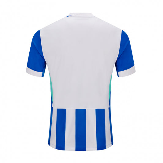 Brighton Home Kit Fan Editon 25/26